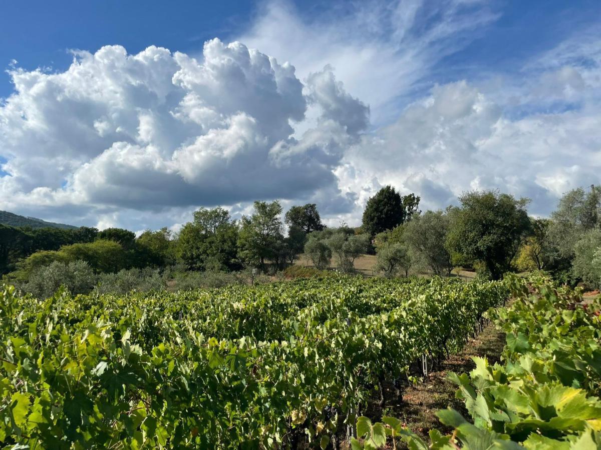 All'Ombra Del Tiglio Pistoia Dış mekan fotoğraf