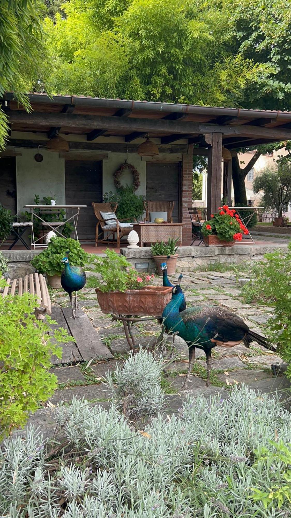 All'Ombra Del Tiglio Pistoia Dış mekan fotoğraf
